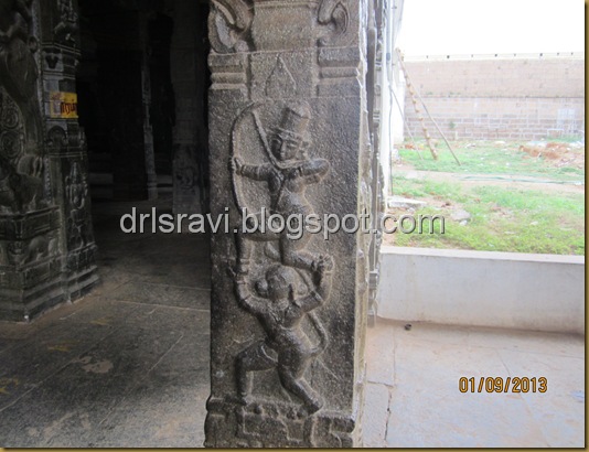 IMG_0008 IMG_0008