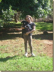 IMG_0217 IMG_0217