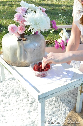 [spring%2520berries%25202%255B2%255D.jpg]