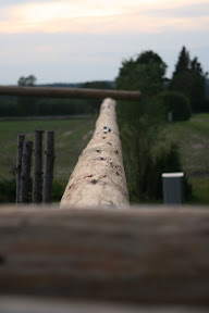 IMG_6637.JPG