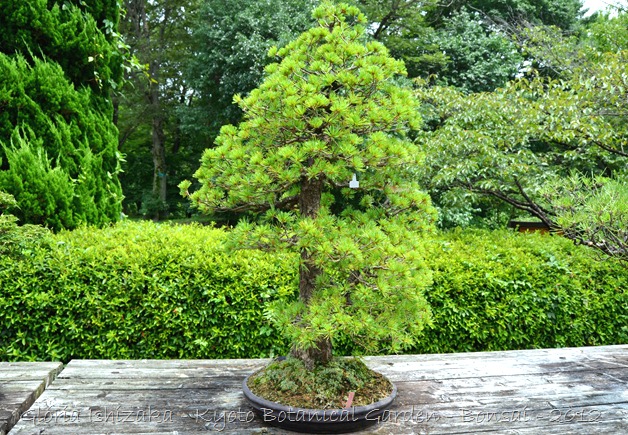 Glória Ishizaka -   Kyoto Botanical Garden 2012 - 47