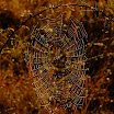 DSCF8803r.jpg