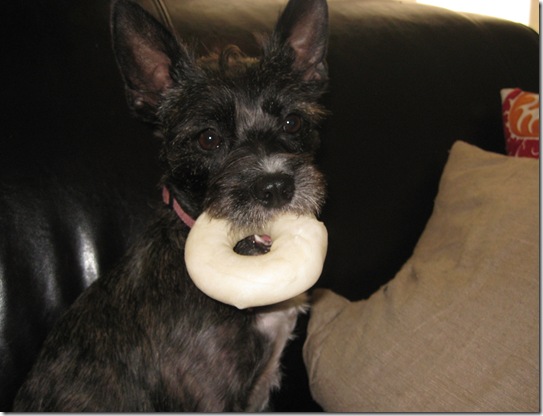 June with bone June with bone