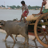 DSCN1558.JPG