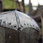 IMG_1049 IMG_1049
