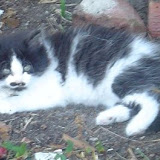 Baby Charlie
