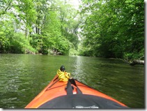 IMG_0550 IMG_0550
