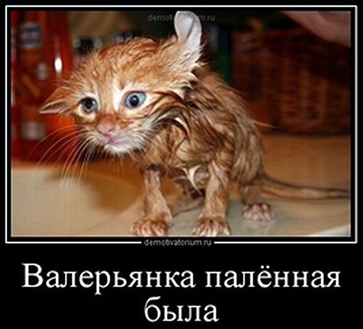 tmb_2609120947211951