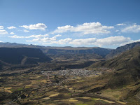IMG_0078.jpg