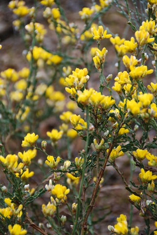 [DSC_0076%255B2%255D.jpg]