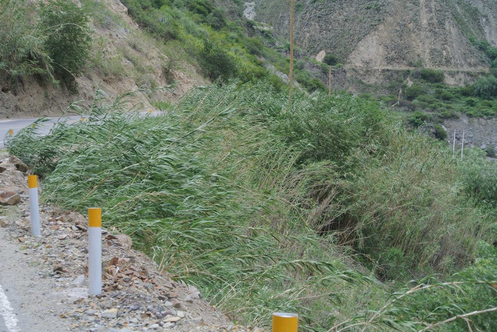 [DSC_59973.jpg]