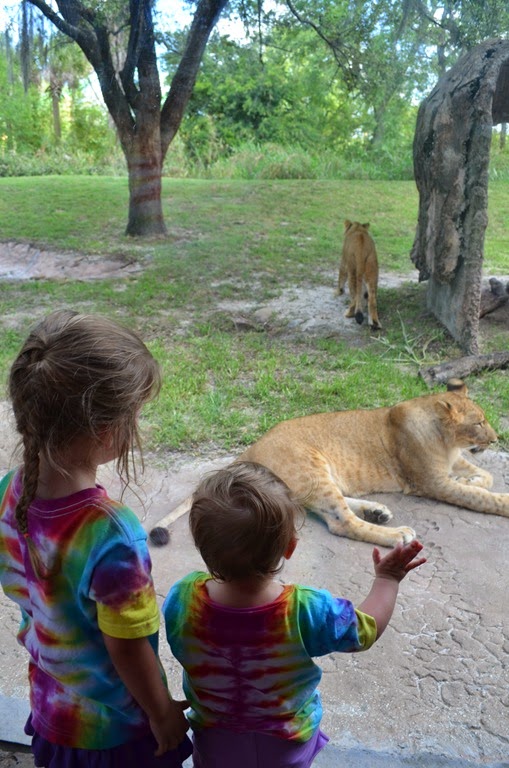 [DSC_8792%255B3%255D.jpg]