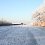 2009