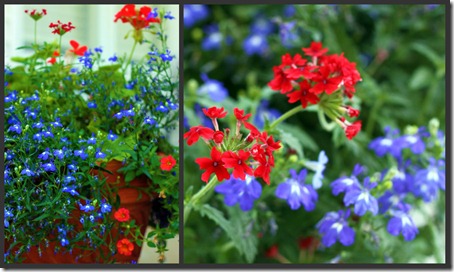 front flowers collage 1