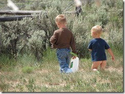 IMG_1657 IMG_1657
