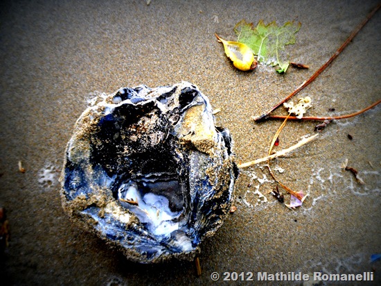 Ondine Ondine