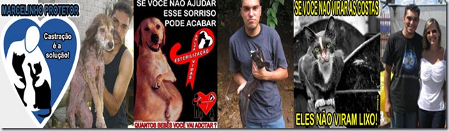 banner_marcelinho banner_marcelinho