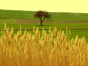 [manzara_by_n_s_n%255B3%255D.jpg]