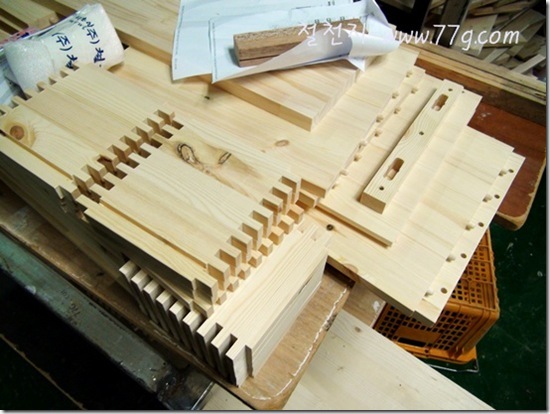 철천지DSC00920-20121008-151311 철천지DSC00920-20121008-151311
