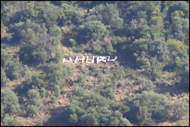 [UHURU%2520military%2520encampment%2520Bloemfontein%252014Bn%2520Pic%2520Emile%2520Hendricks%2520Volksblad%255B4%255D.jpg]