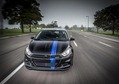 Chrysler Group LLC introduces limited-edition Mopar ’13 Dart. Mopar is the company’s service, parts and customer-care brand. Chrysler Group LLC introduces limited-edition Mopar ’13 Dart. Mopar is the company’s service, parts and customer-care brand.