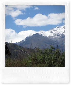 IMG_0872 IMG_0872