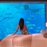 hotelroom atlantis foto album Dubai
