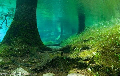 Green Lake parque submerso austria desbaratinando (1) Green Lake parque submerso austria desbaratinando (1)