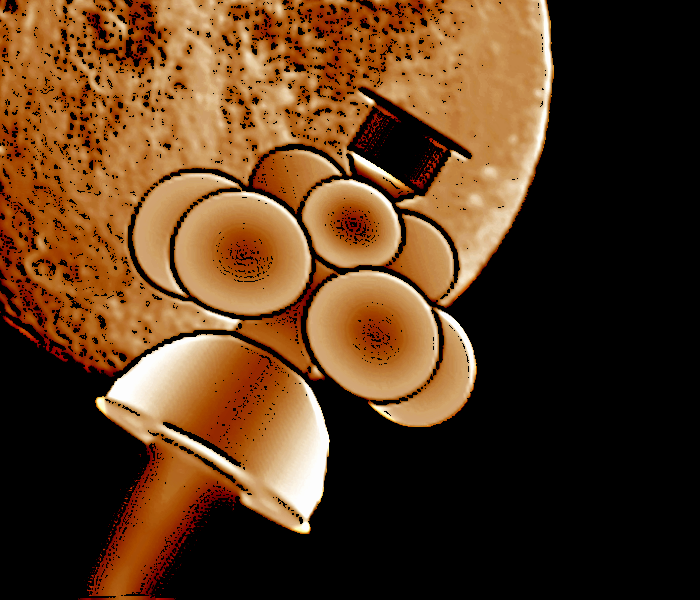 [Project_Daedalus%255B3%255D.png]