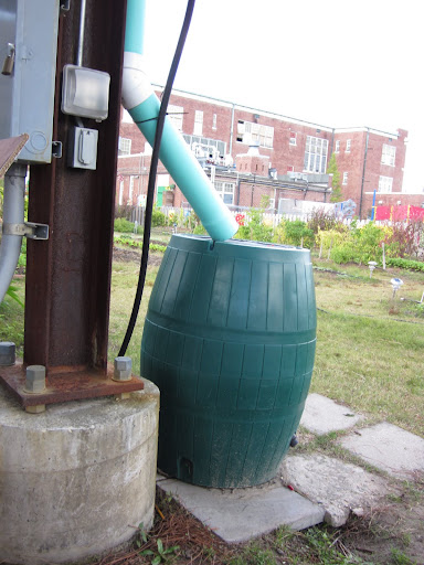 A rain water collection system is a green way to keep the plants well-watered.