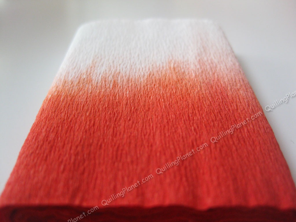 [IMG_7366WM%255B4%255D.jpg]