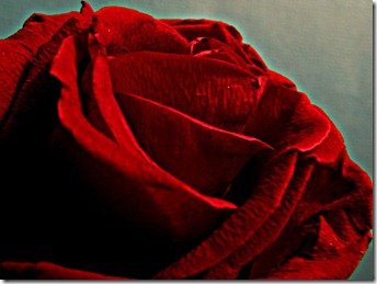 The Color of Vocal Depth