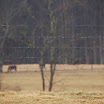 DSC_1876.JPG