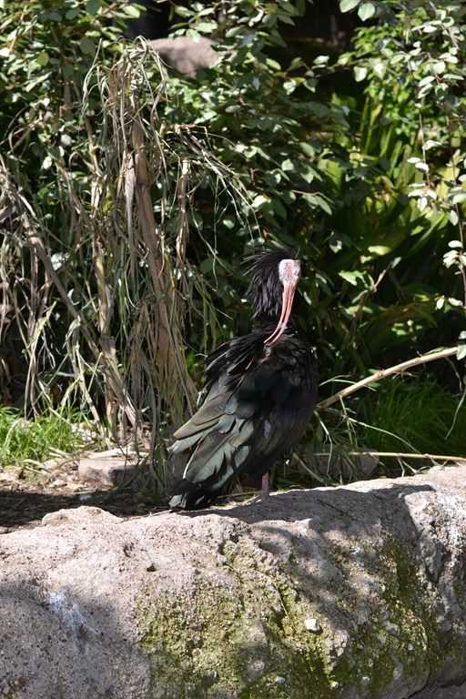 [DSC_1746%255B13%255D.jpg]