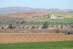 Youssef, on the road from Tunis to Beja, Tunisia