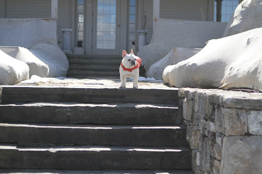 Here I am, Francesca!  I wasn't hiding from you.
