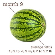 [37%2520weeks%255B3%255D.jpg]