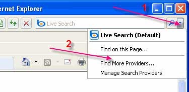 [managing-search-providers-in-interne%255B1%255D.jpg]