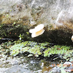 DSCN2962.JPG