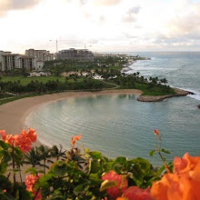 UW @ Hawaii 2007