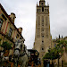 Horse and carriage at the Cathedral - Sevilla