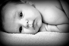 DSC_0458edit DSC_0458edit