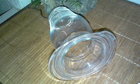 IMAG0069.jpg