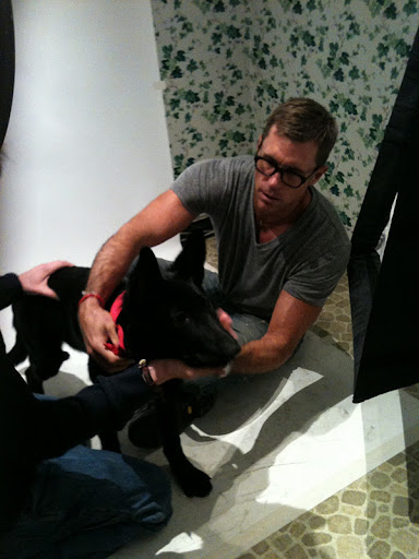 Choosing the best accessories is all part of creating the perfect shot.
(See animal details at link below blog post- The Humane Society of NY)