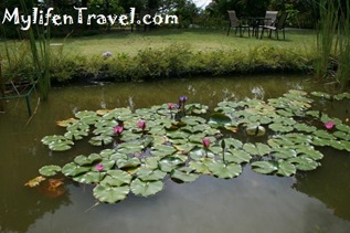 IMG_9819 IMG_9819