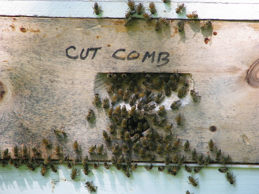 Foley's bees produce several gallons of honey each year. (Photo credit: Jennifer Moore)