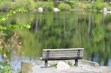 DSC_0053.JPG