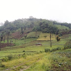 highlandtour4.jpg
