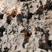 DSC_4356.JPG