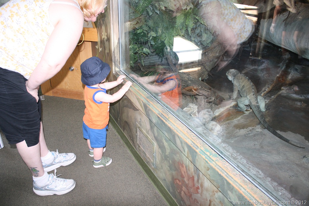[IMG_0772%255B6%255D.jpg]